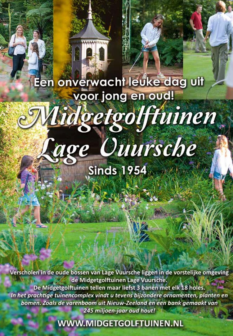 lage-vuurse-groot